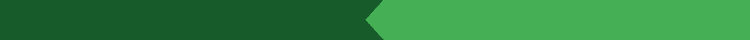 Dark and lighter green long rectangle