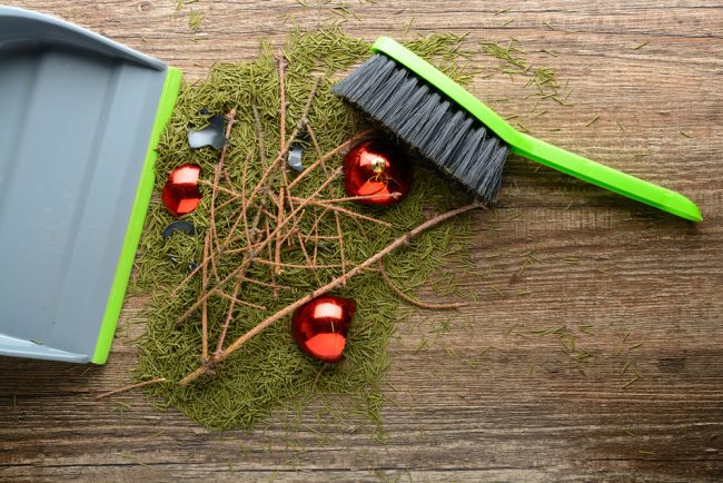 Scoop,With,A,Brush,,Dry,Twigs,,Fallen,Spruce,Needles,And Chrismas rubbish dos and don'ts