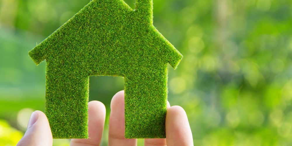 Hand,Holding,Eco,House,Icon,Concept How to Make Your Home More Eco-Friendly