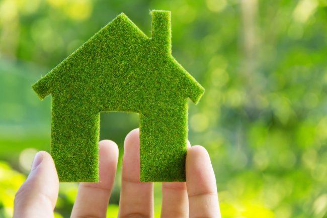 Hand,Holding,Eco,House,Icon,Concept How to Make Your Home More Eco-Friendly