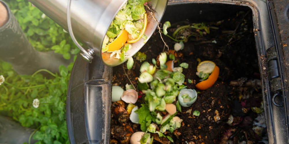 Close,Up,Of,Kitchen,Counter,Compost,Bin,With,Food,Scraps Everything You Need to Know About Composting Waste