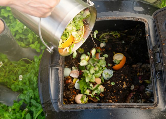 Everything You Need to Know About Composting Waste