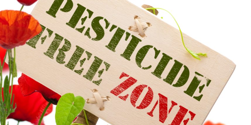 THE IMPORTANCE OF SAFELY DISPOSING OF PESTICIDES