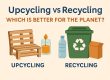 Upcycling vs Recycling – Which Helps the Planet More